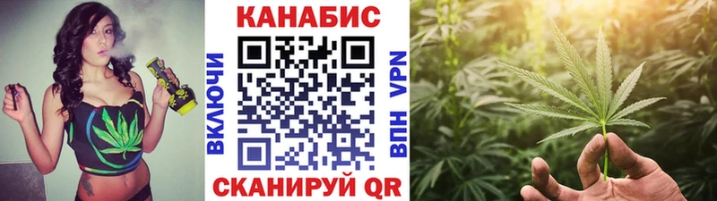 МЕФ Звенигово