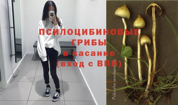 MDMA Premium VHQ Карпинск