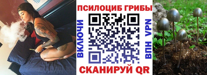Псилоцибиновые грибы ЛСД  Купить где  Звенигово 